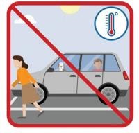 hot car