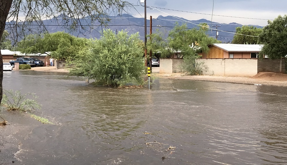 Wilson Water Harvesting Feature