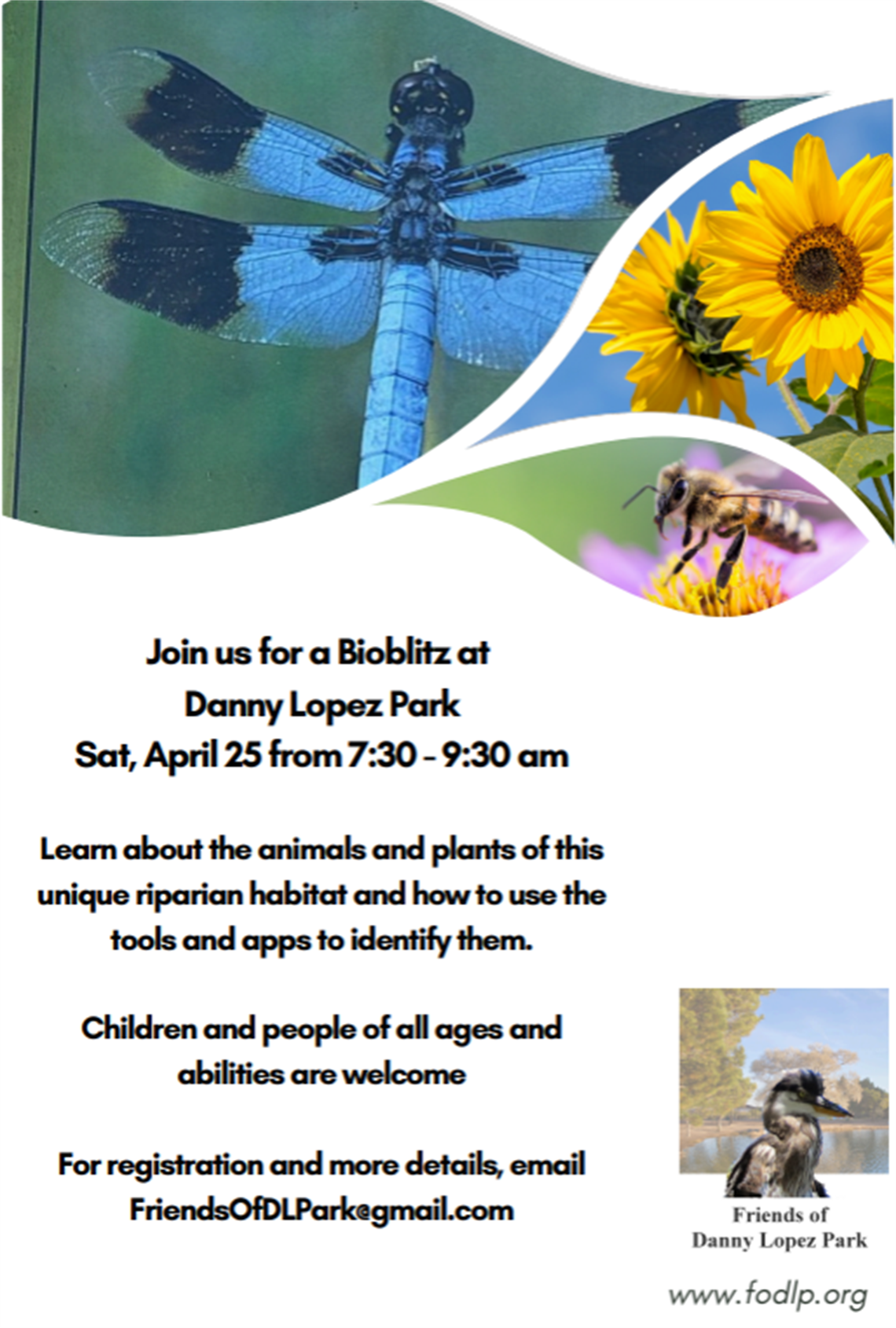 bioblitz at Danny Lopez flyer.png