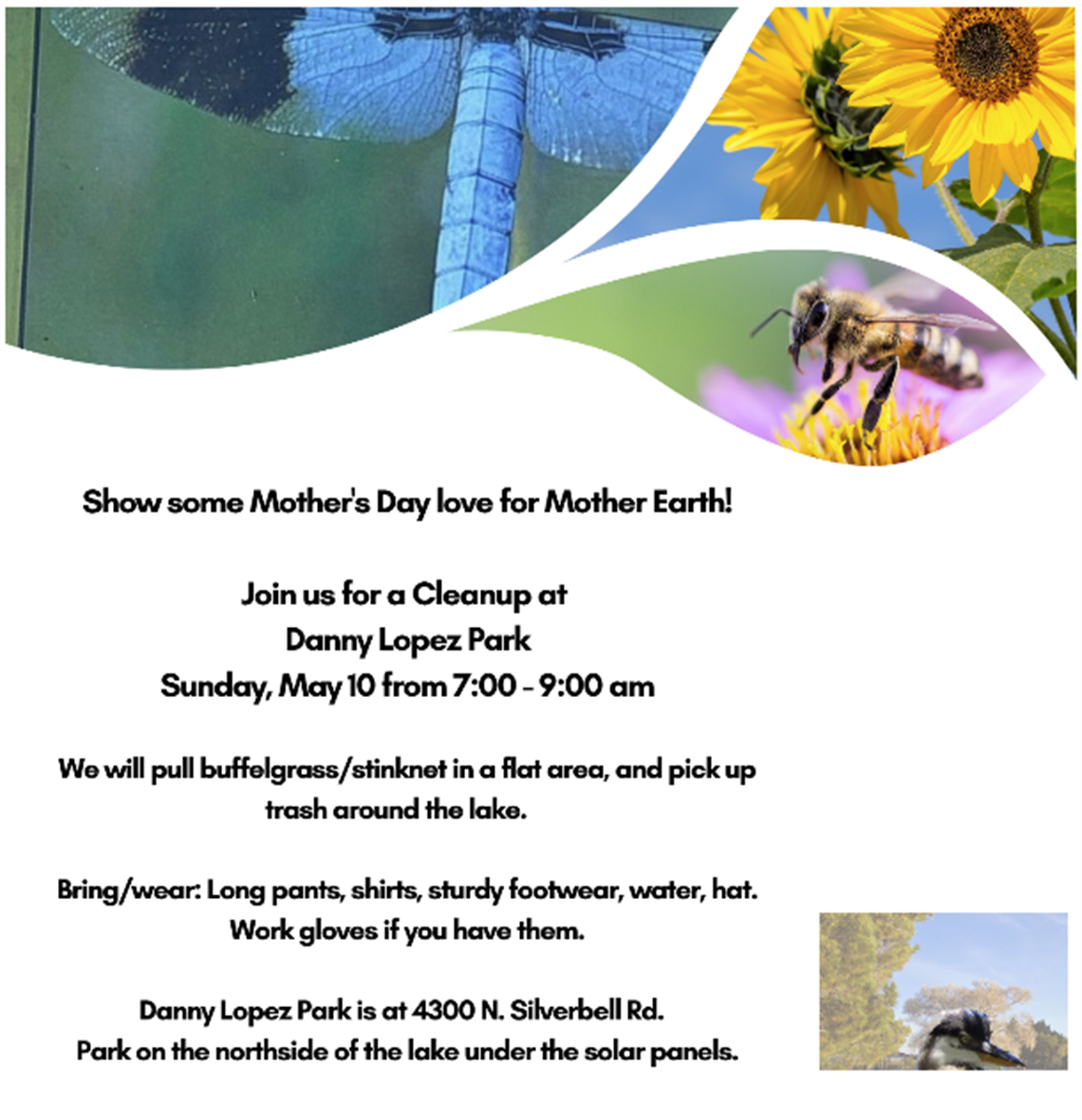 Tucson clean and Beautiful stink net cleanup Flyer.png