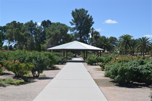 Gene C Reid rose garden