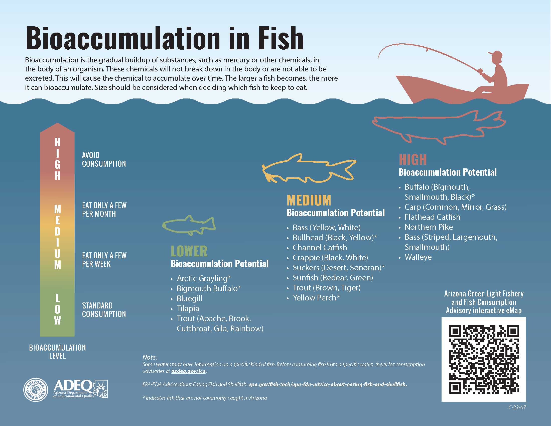 Chart rating fish species by mercury bioaccumulation risk (low, medium, high), with consumption guidance for each. Source: AZ Game & Fish/ADEQ.