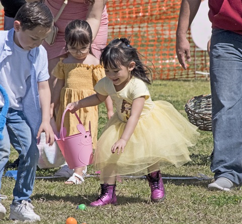 EGG-Hunt.jpg