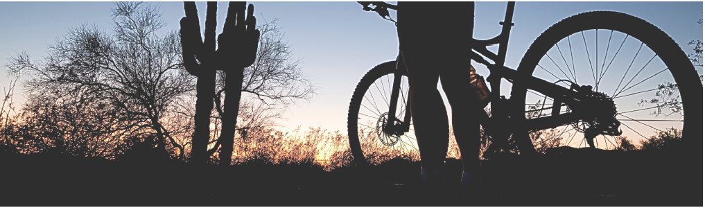 Sunset desert with black silhouette of man holding a bike up. Two saguaros in background 