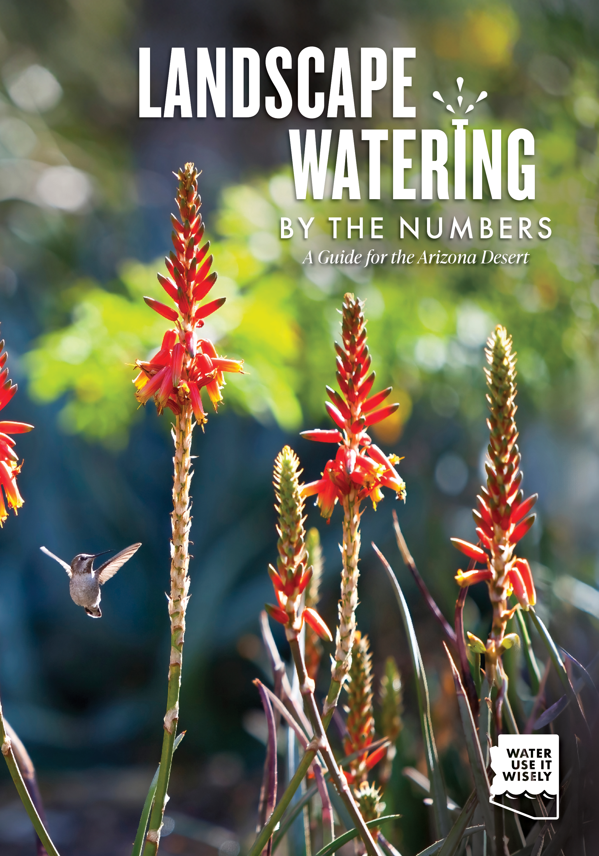Cover of a guide titled 