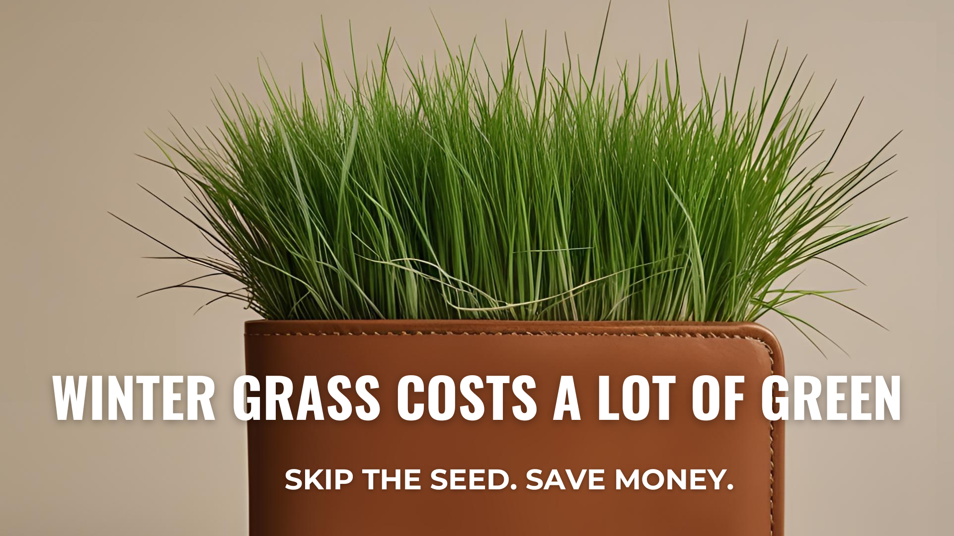 overseeding-money.png
