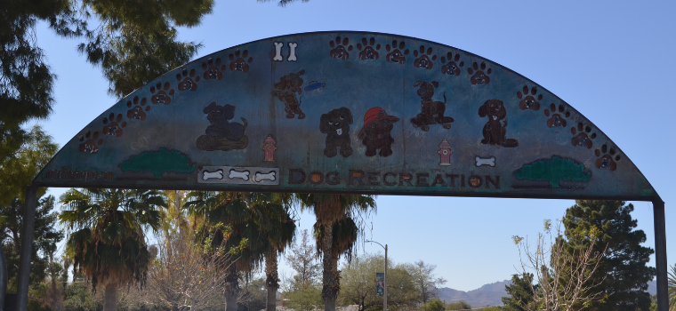 Jacobs-Park-Dog-Park.png