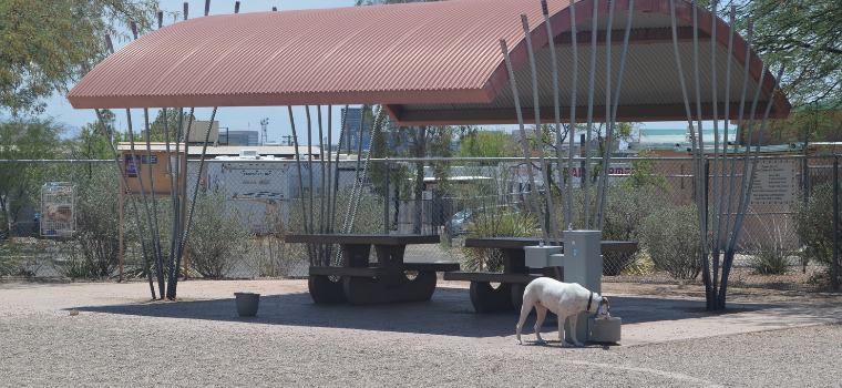 North-Sixth-Avenue-Dog-Park.png