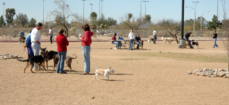Udall-Dog-Park.png