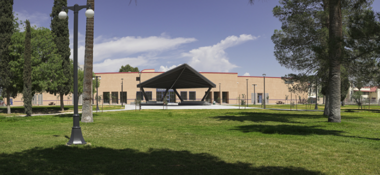 Open park lawn with palm trees and a modern angular shade pavilion, paved walkways, and downtown Tucson buildings visible in the background.