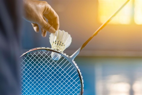 SOF-Badminton.jpg