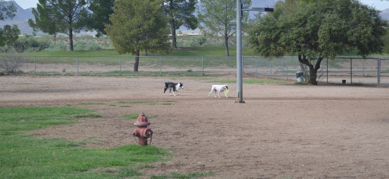 Christopher-Columbus-Dog-Park.png